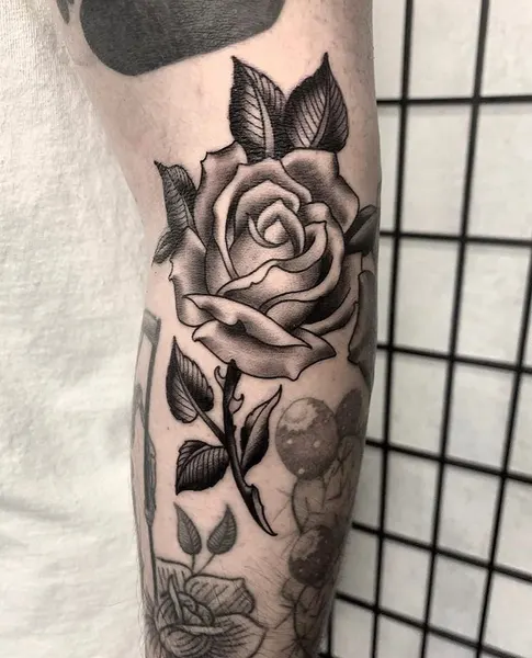 Flower, Rose