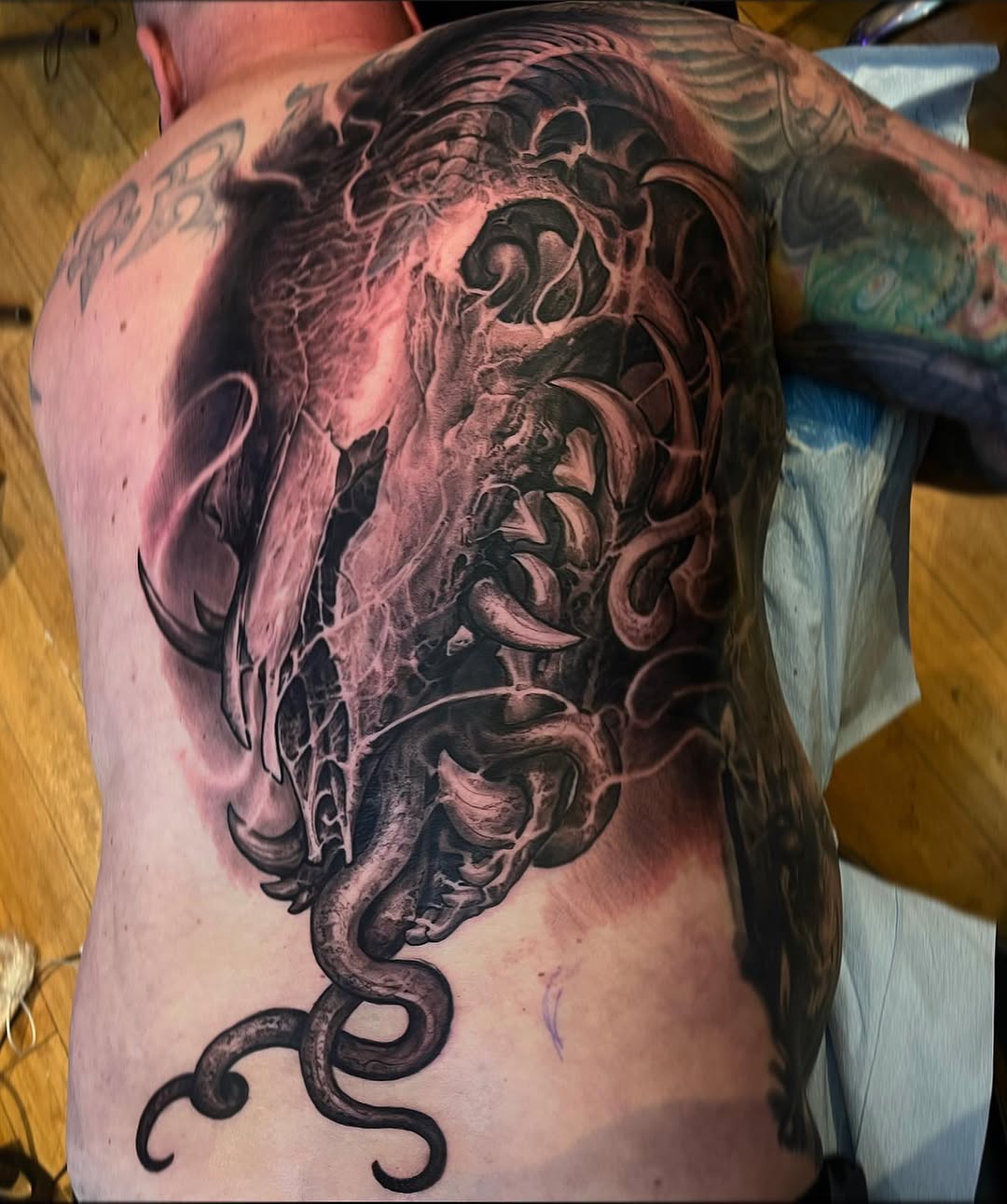 jesselevitt