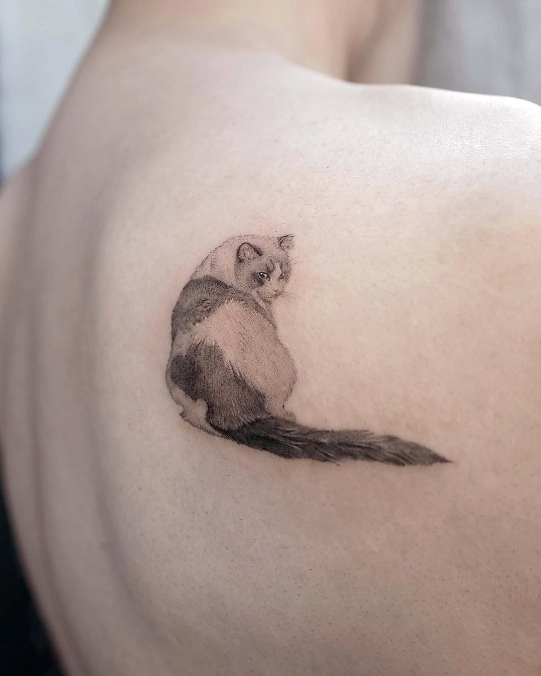soltattoo