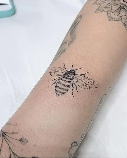 Animal