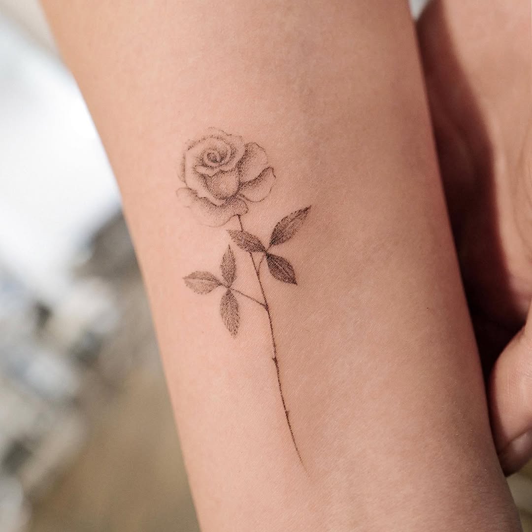 Flower, Rose