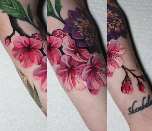 Flower, Rose