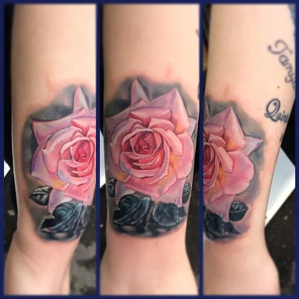 Flower, Rose