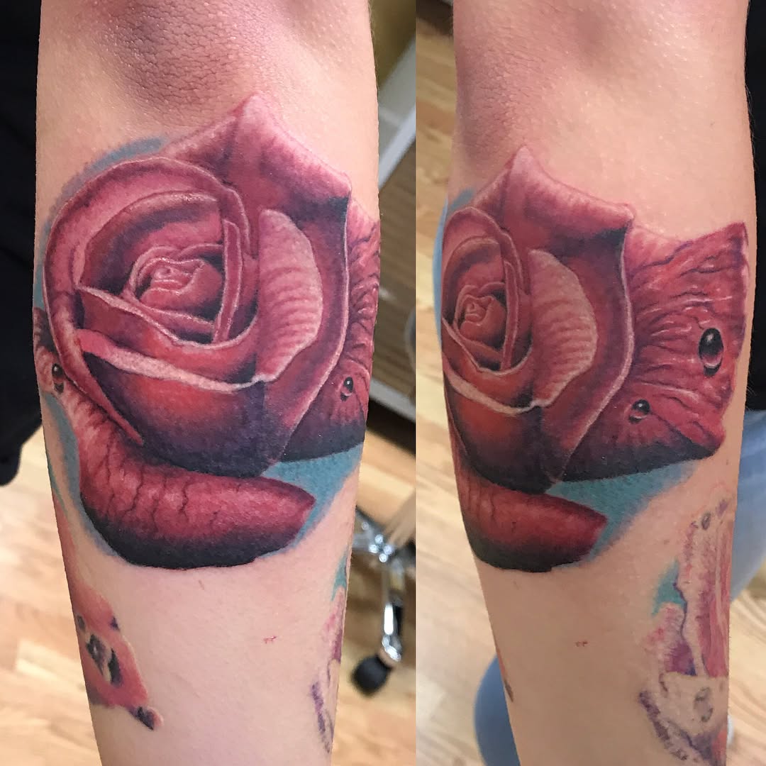 Flower, Rose