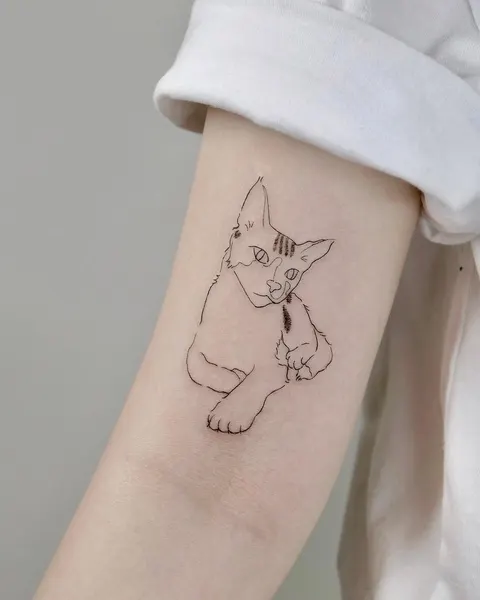 Animal