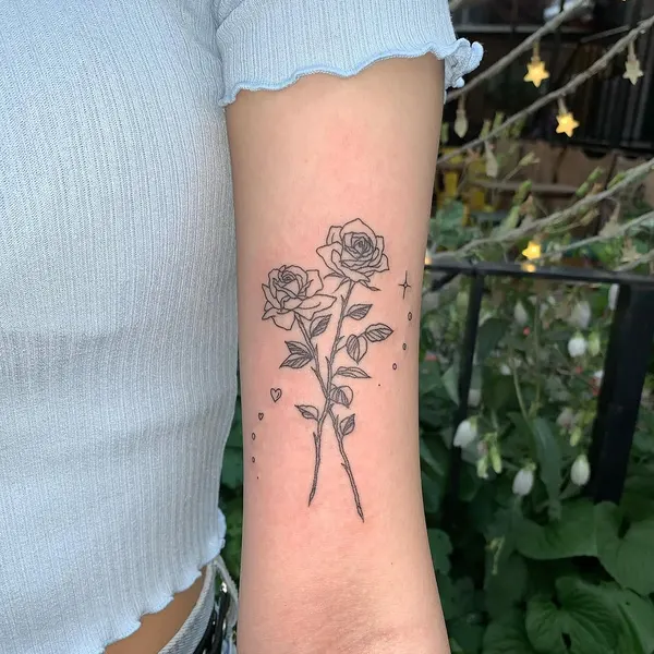 Flower, Rose