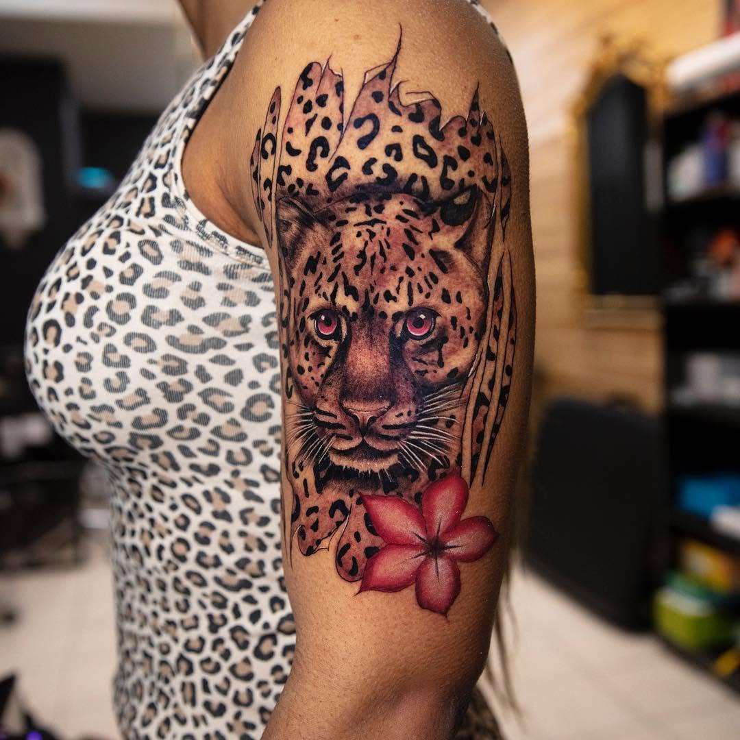 Animal