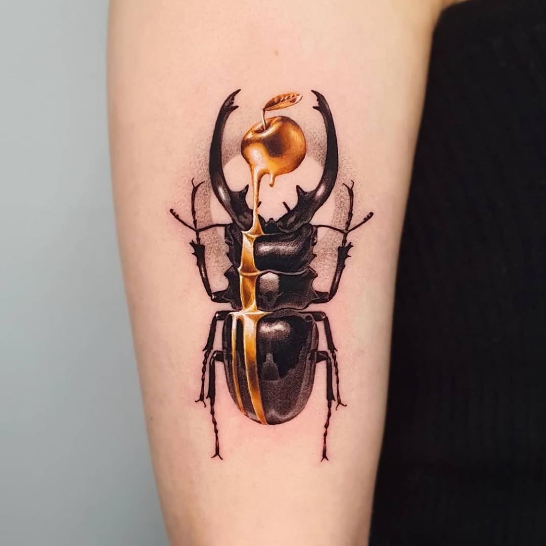equilattera