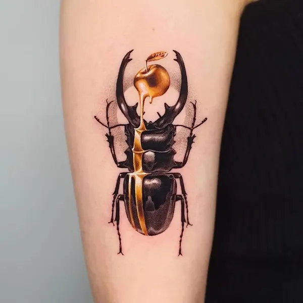 equilattera