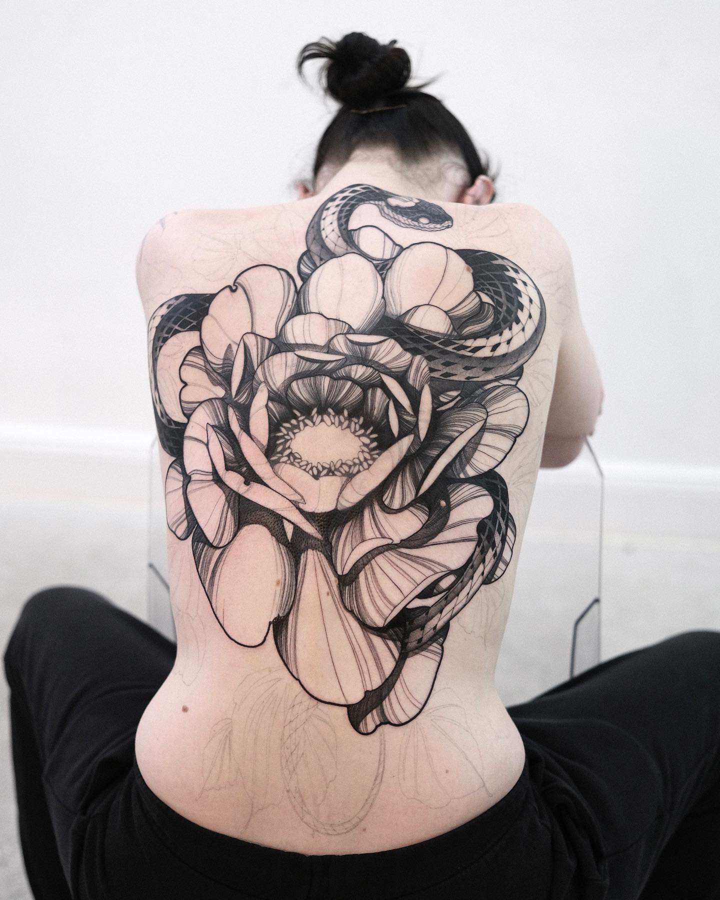 Flower, Rose, Nature, Dragon