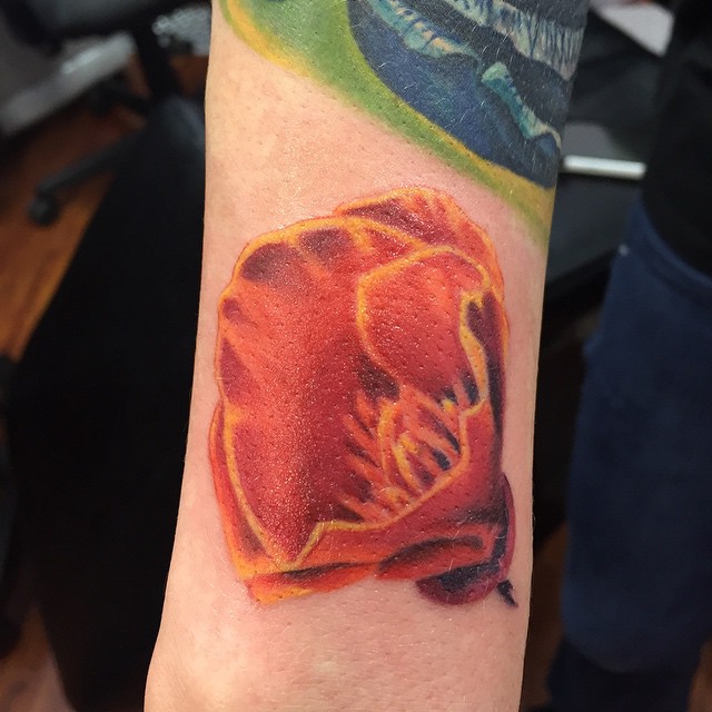 Flower, Rose