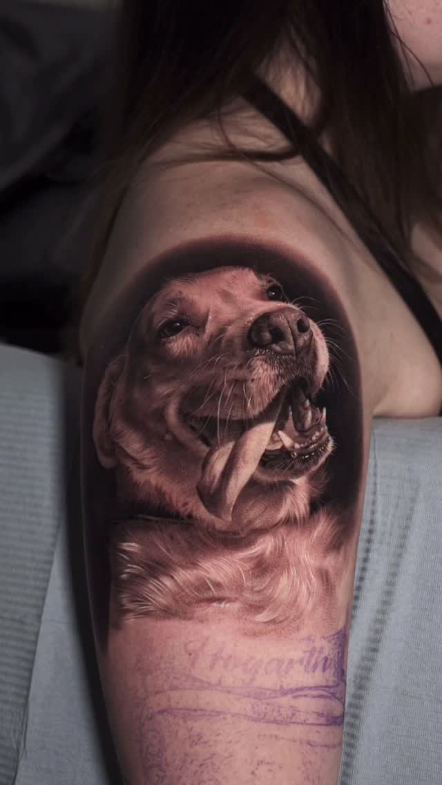 Animal