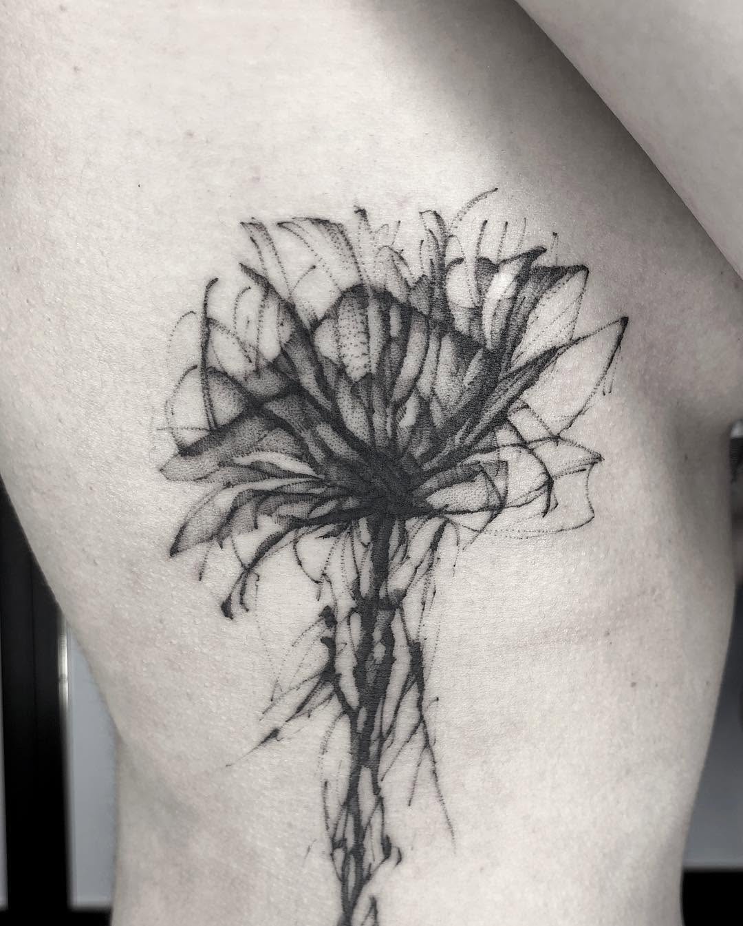 Flower, Nature