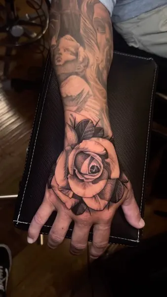 Flower, Rose