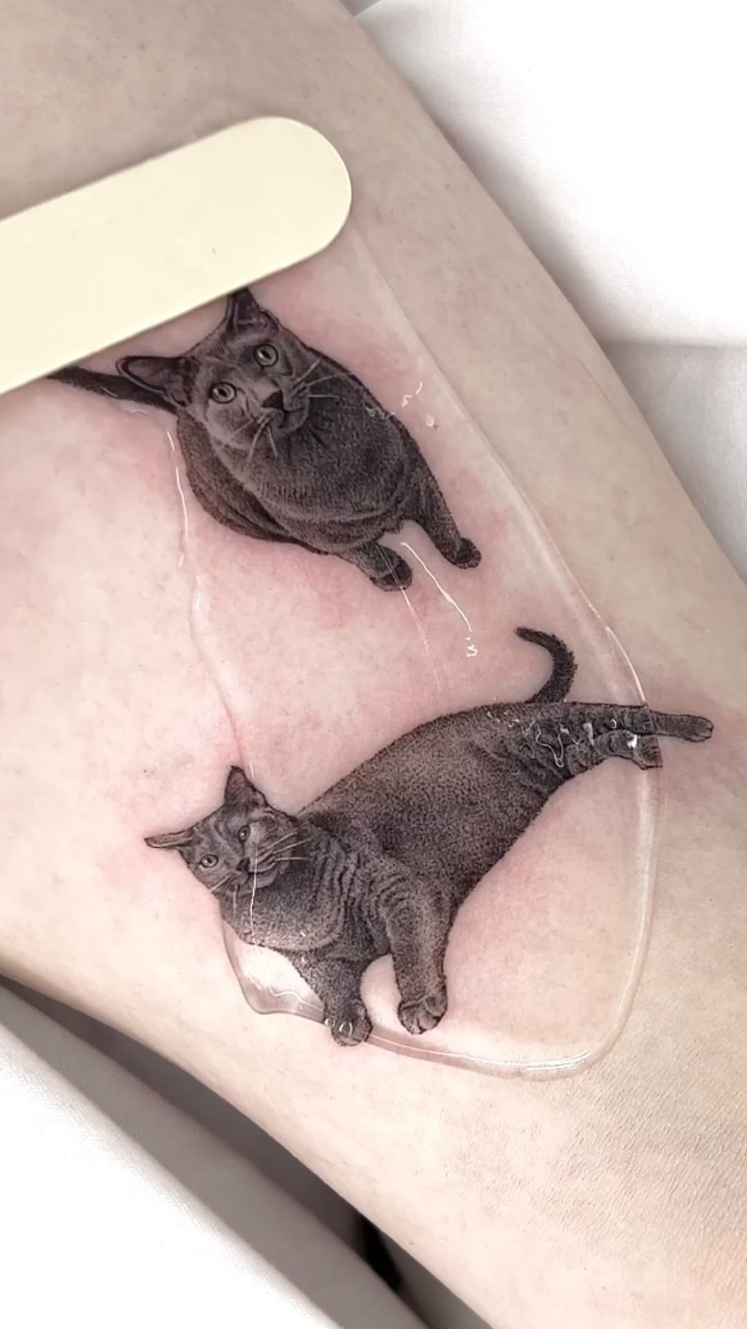 dorok.tattoo