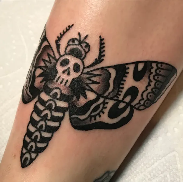 Animal, Nature
