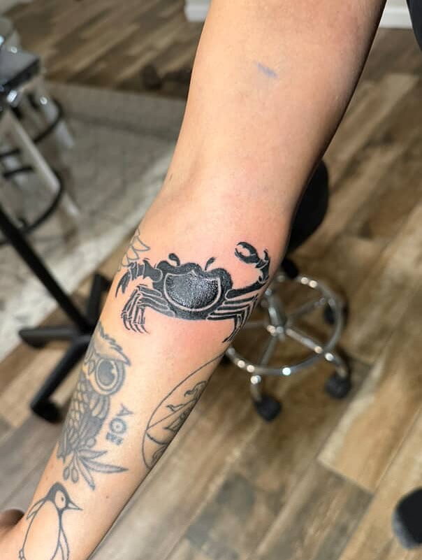 Animal, 거미