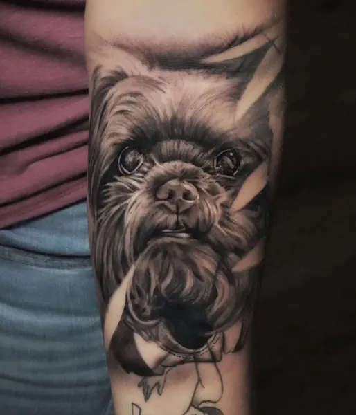 Animal