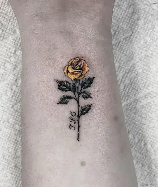 Flower, Rose