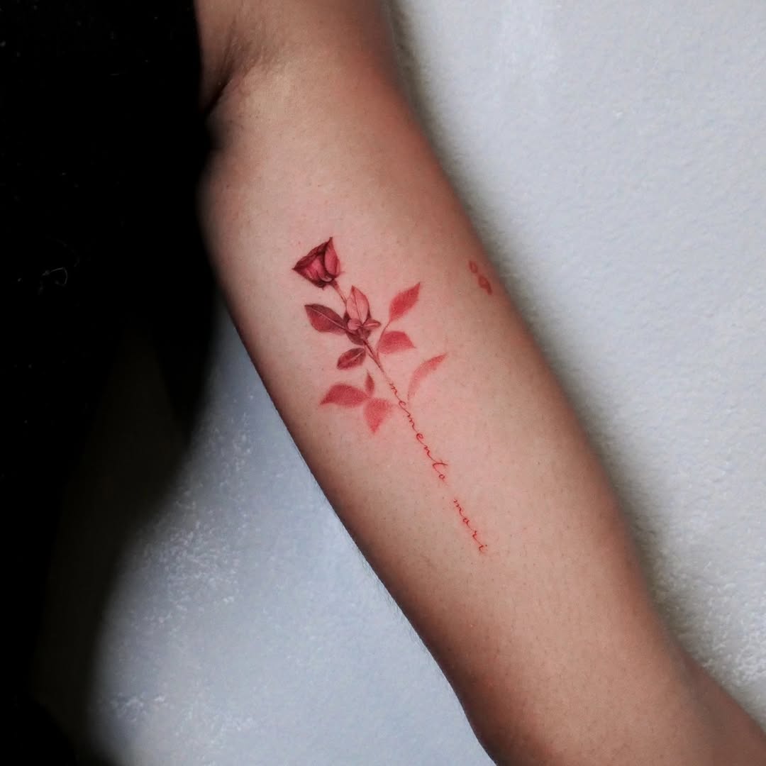 Flower, Rose