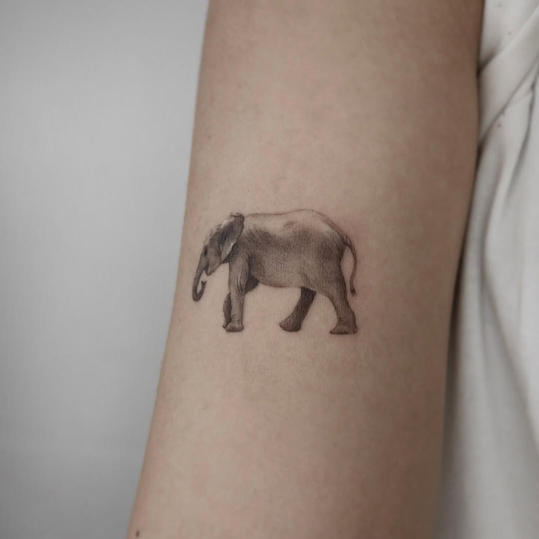 40.tatt