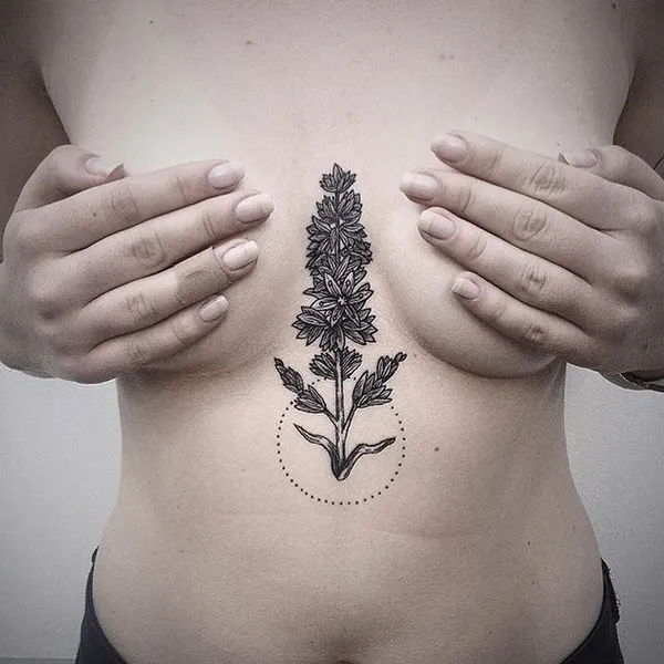equilattera