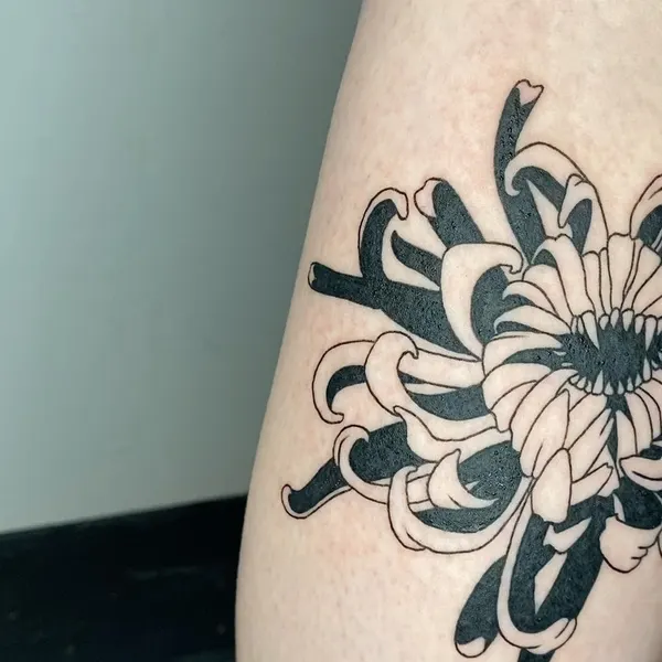 plantsnpokes