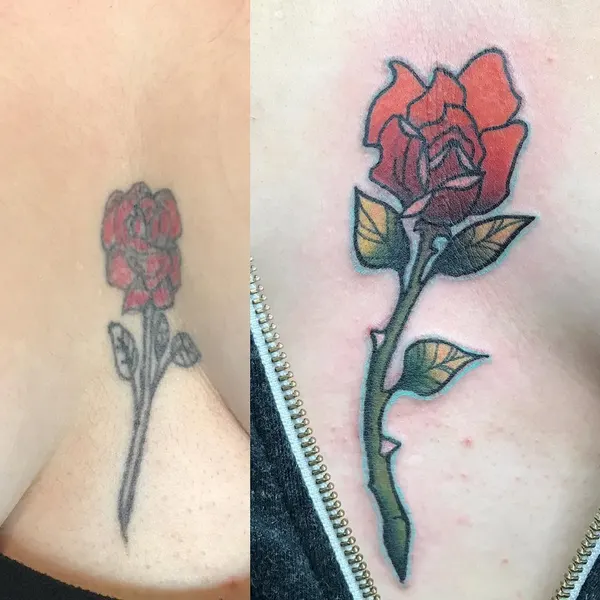 Flower, Rose
