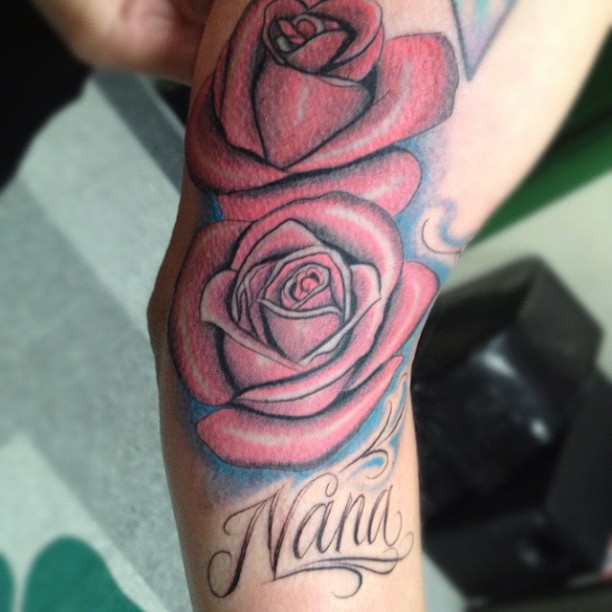 Flower, Rose