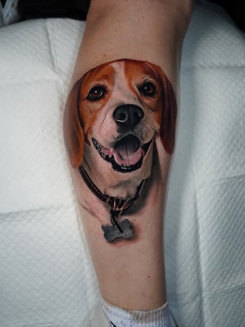 Animal
