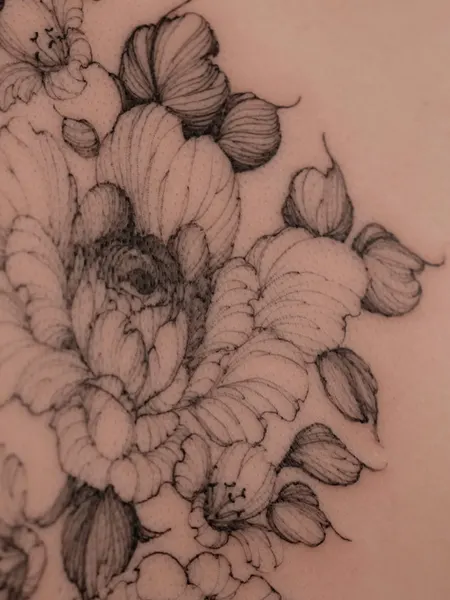 Flower, Rose