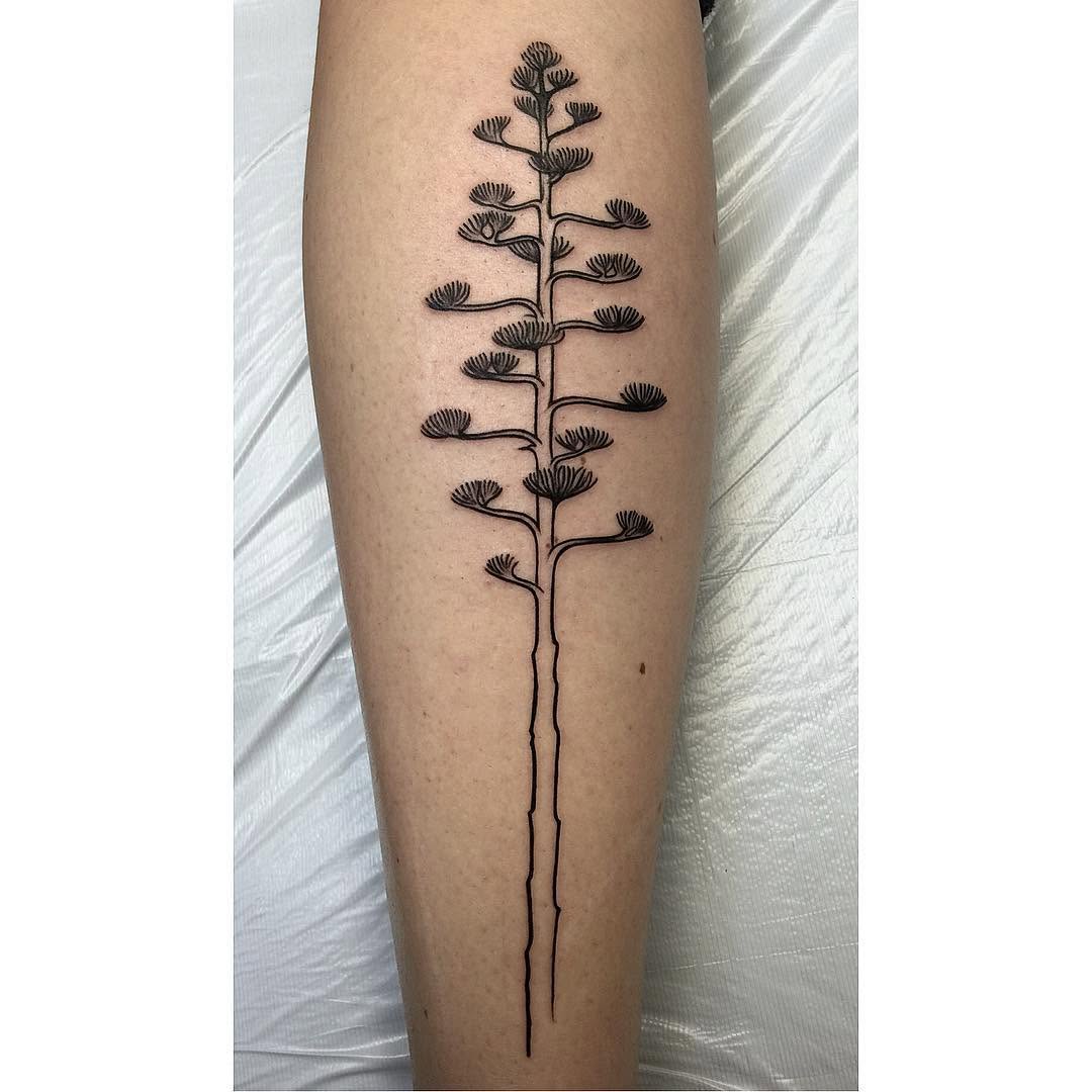 Flower, 고사리