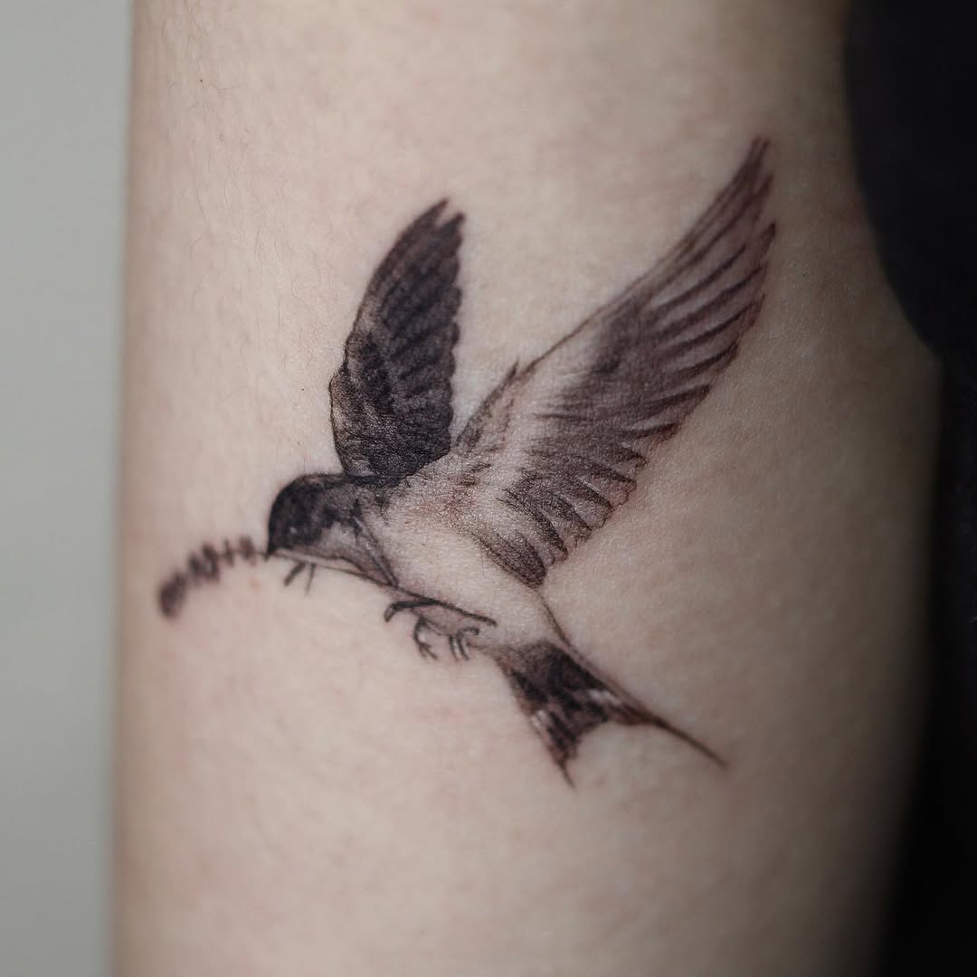 40.tatt