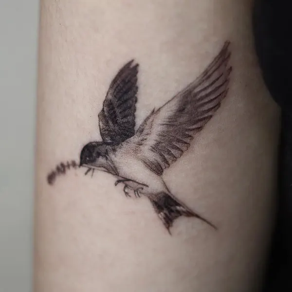 40.tatt