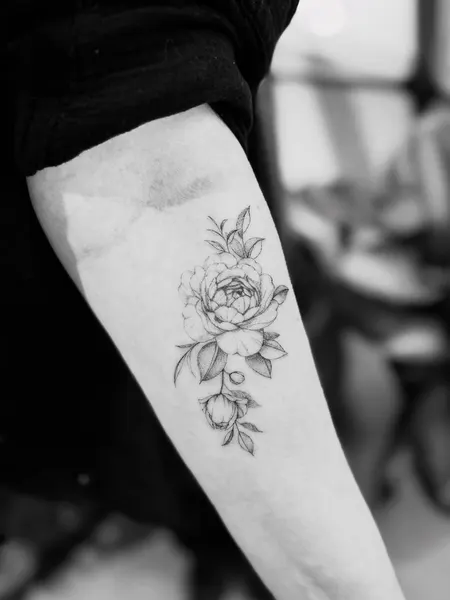Flower, Rose
