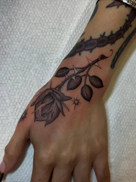 Flower, Rose