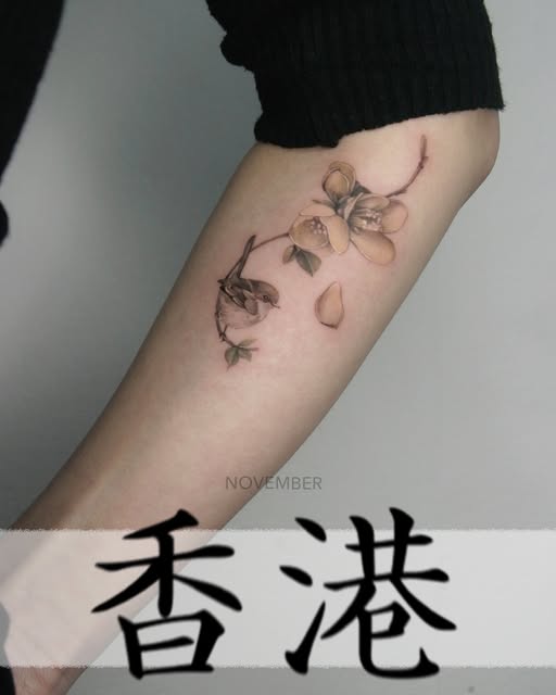 고양이, 반려동물
