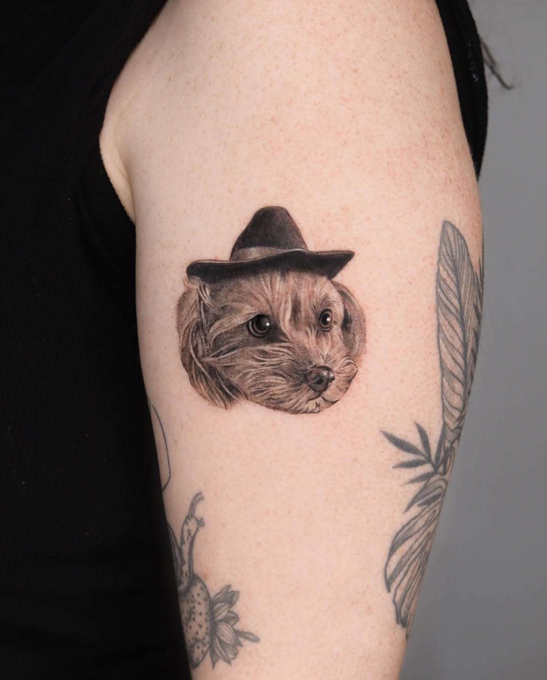 Animal