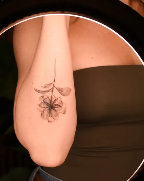 Flower, Rose