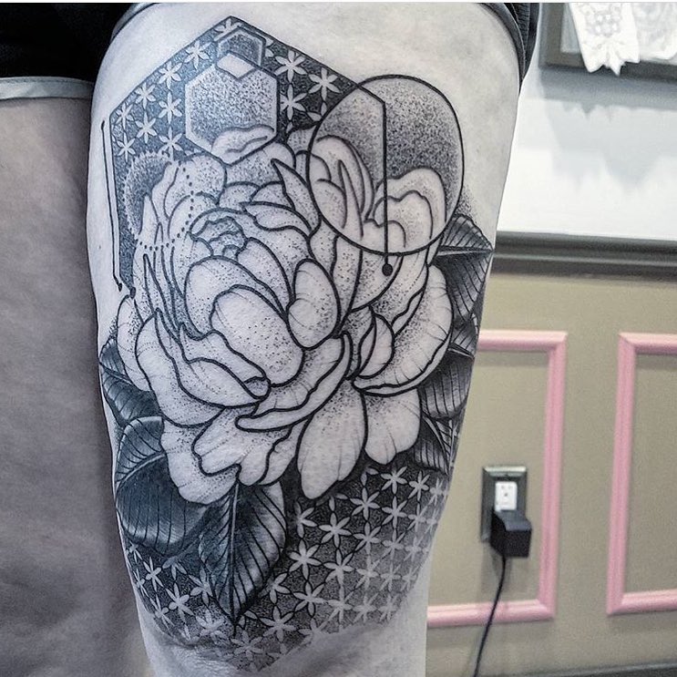Flower, Rose