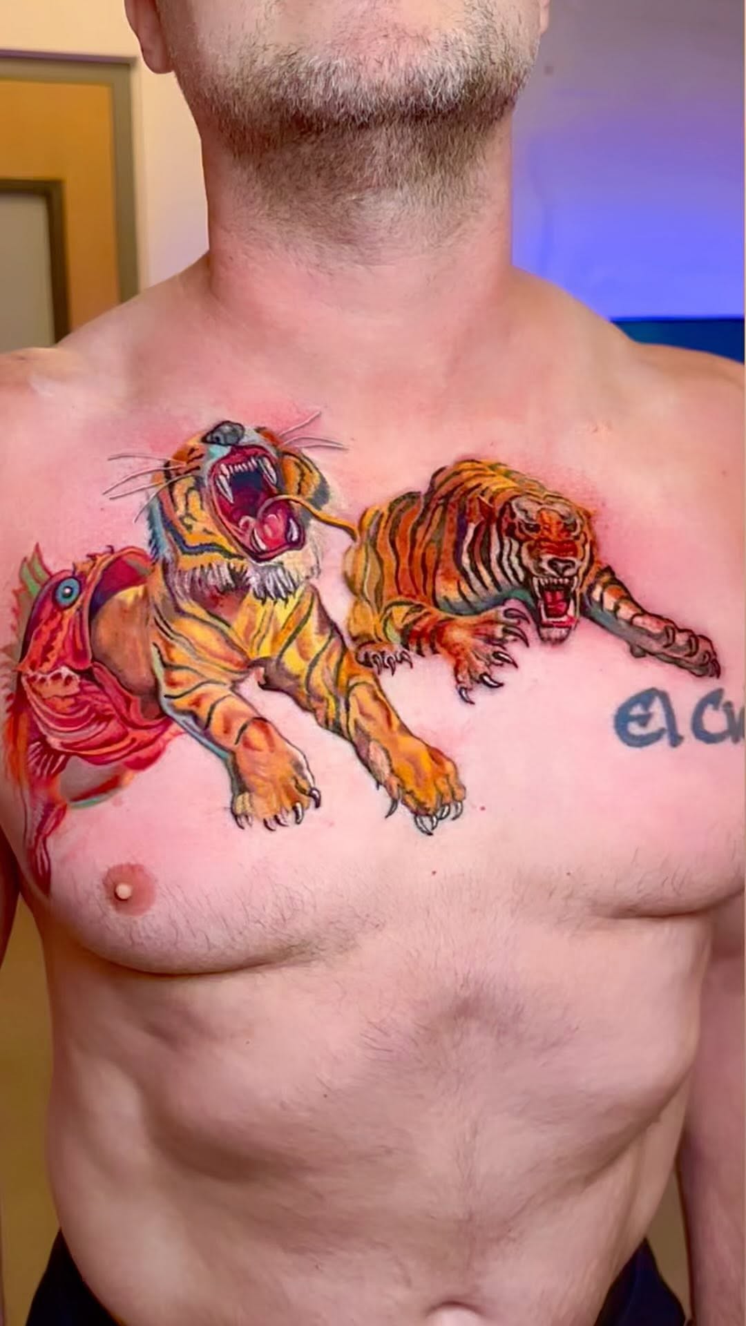 Tiger