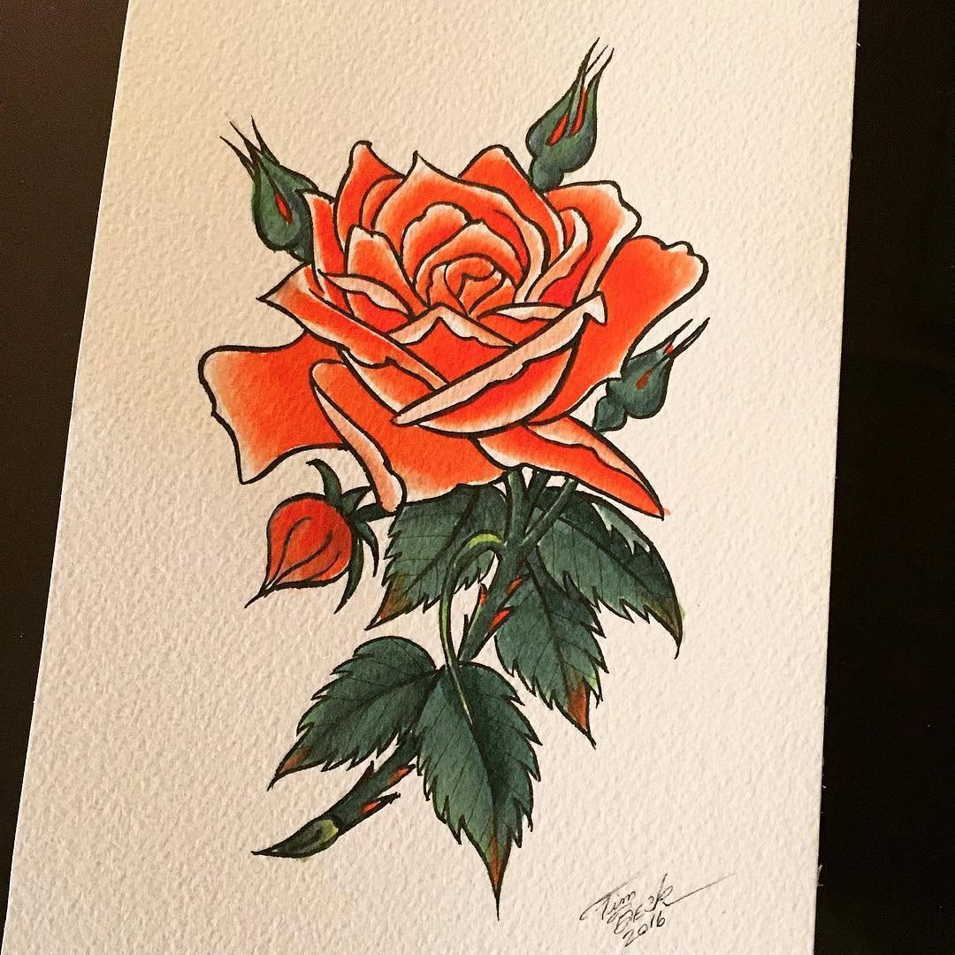 Flower, Rose