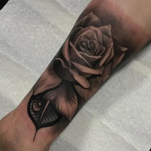 Flower, Rose