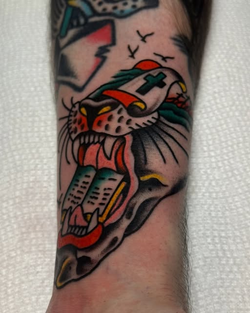 Tiger, Animal