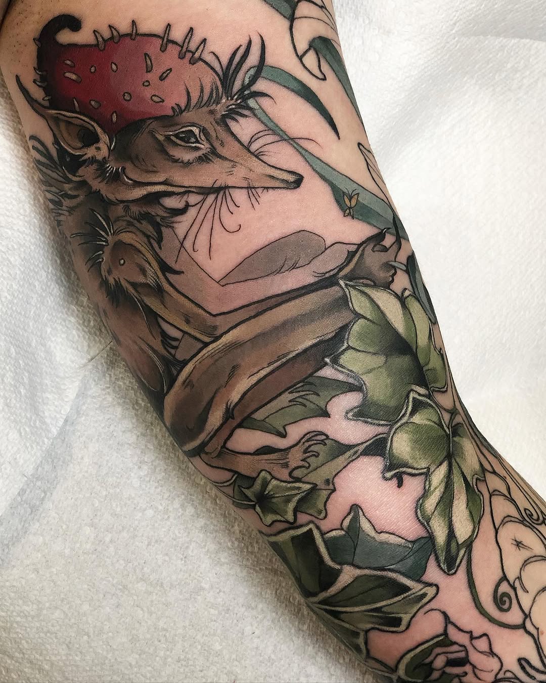 elliejoliv