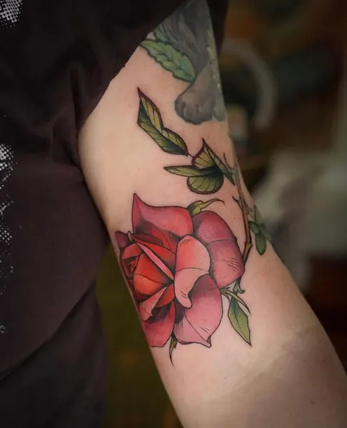 Flower, Rose