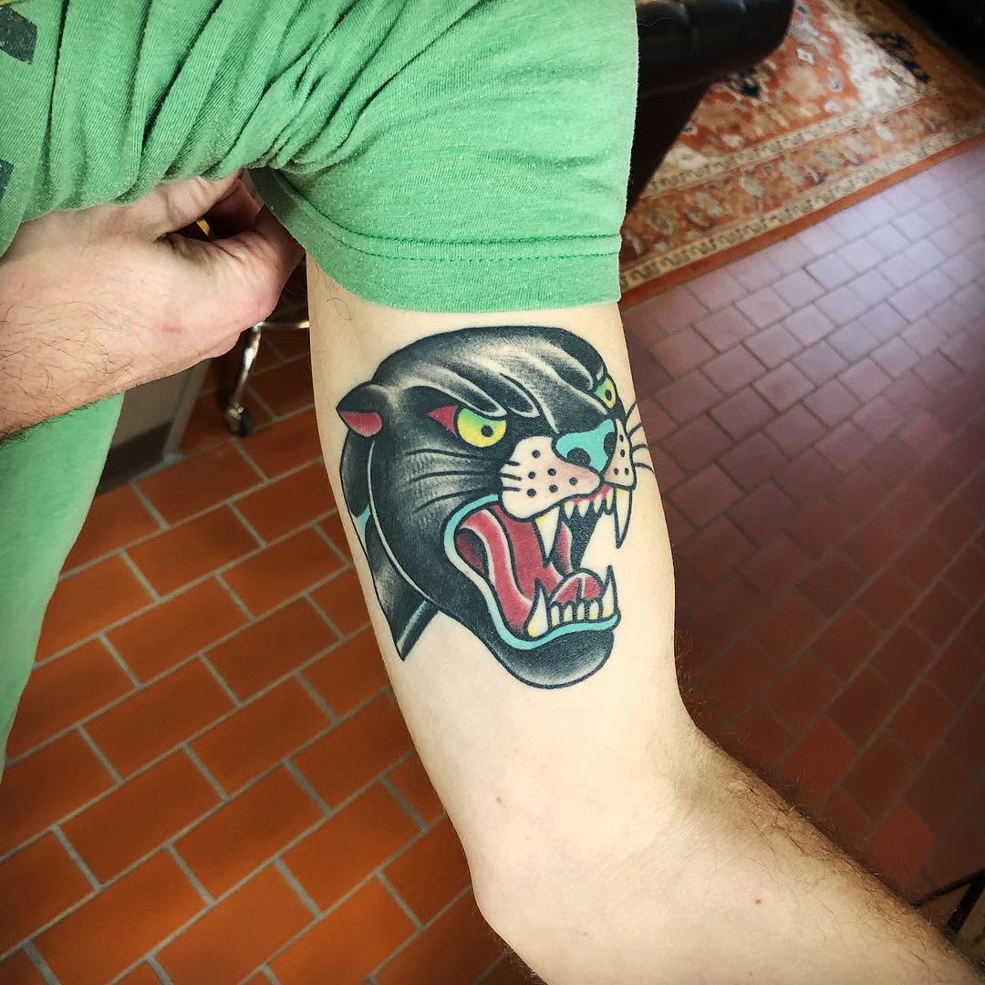 Animal, Tiger