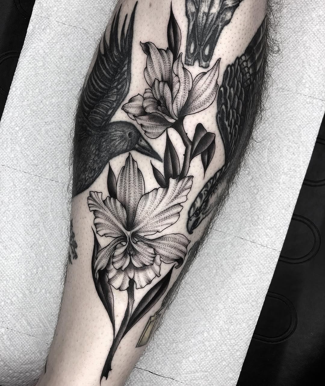 Rose, Flower