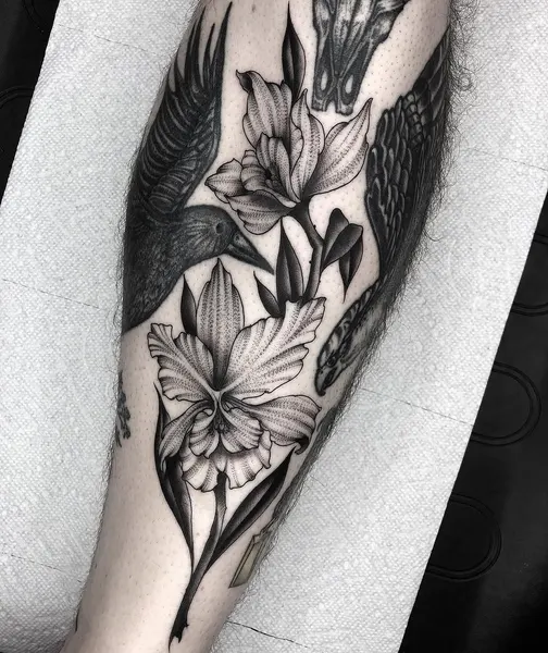 Rose, Flower
