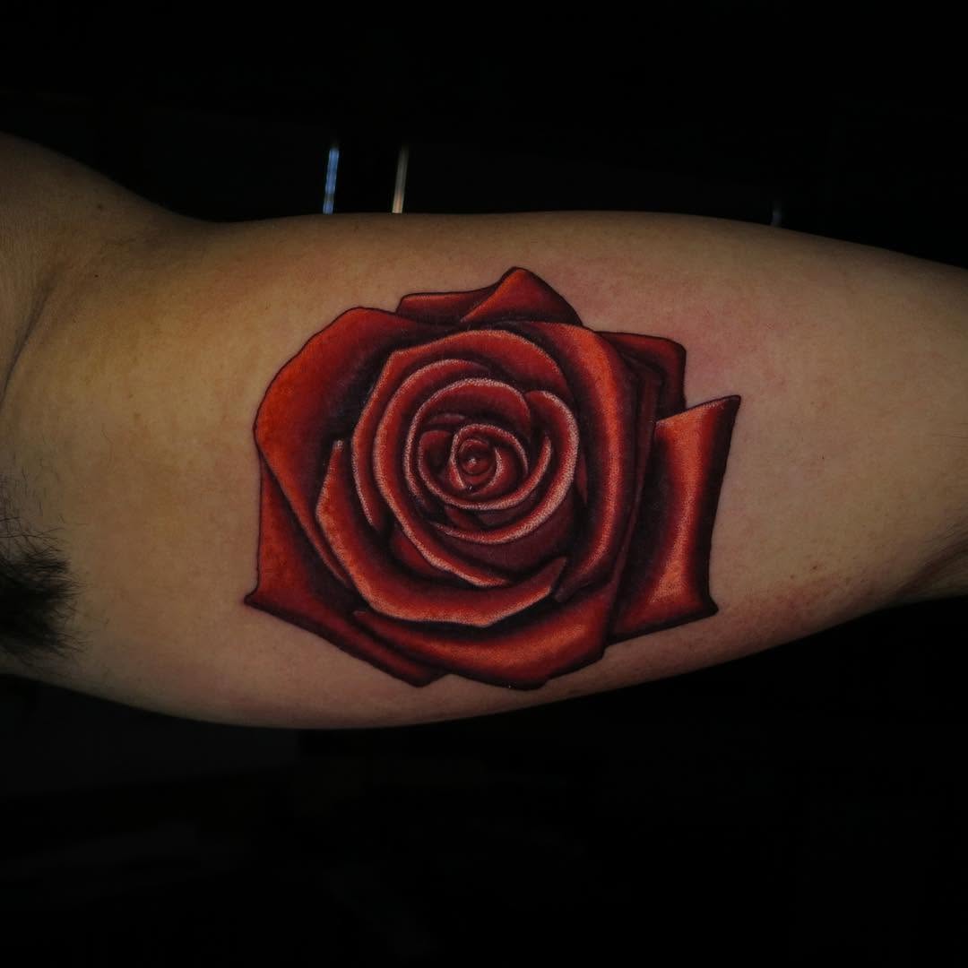 Flower, Rose